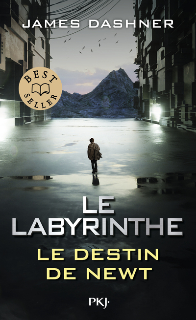 Le Labyrinthe : Le destin de Newt - James Dashner - POCKET JEUNESSE