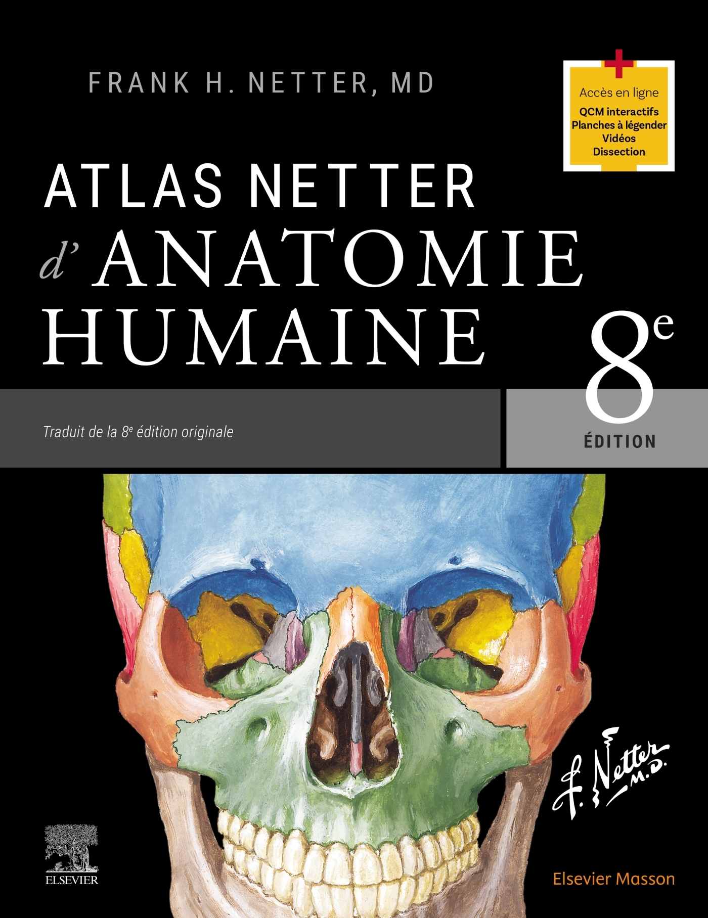 Atlas Netter d'anatomie humaine - Frank Netter - MASSON