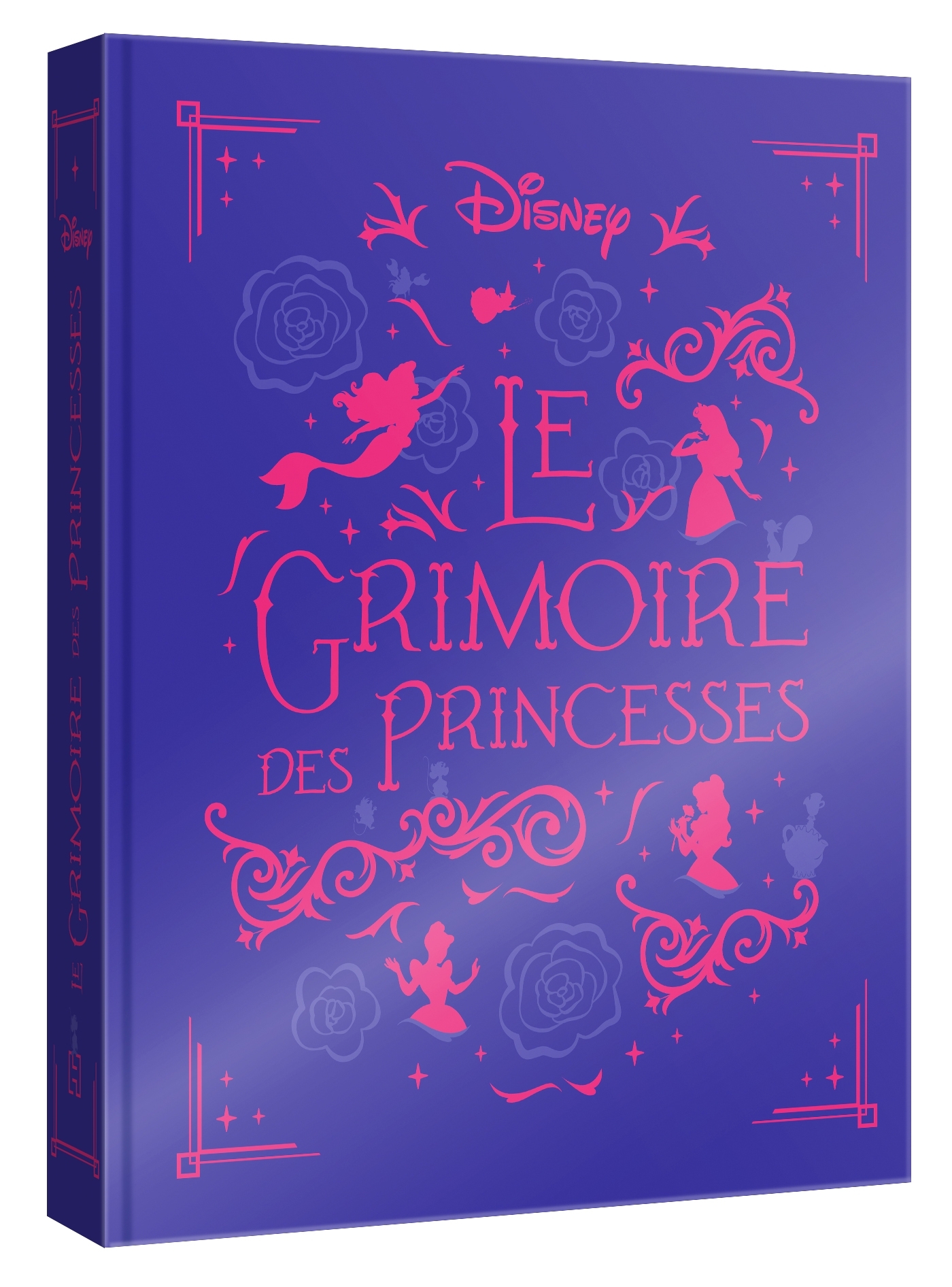 DISNEY PRINCESSES - Le Grimoire des Princesses - 10 histoires de Blanche-Neige à Rebelle - XXX - DISNEY HACHETTE