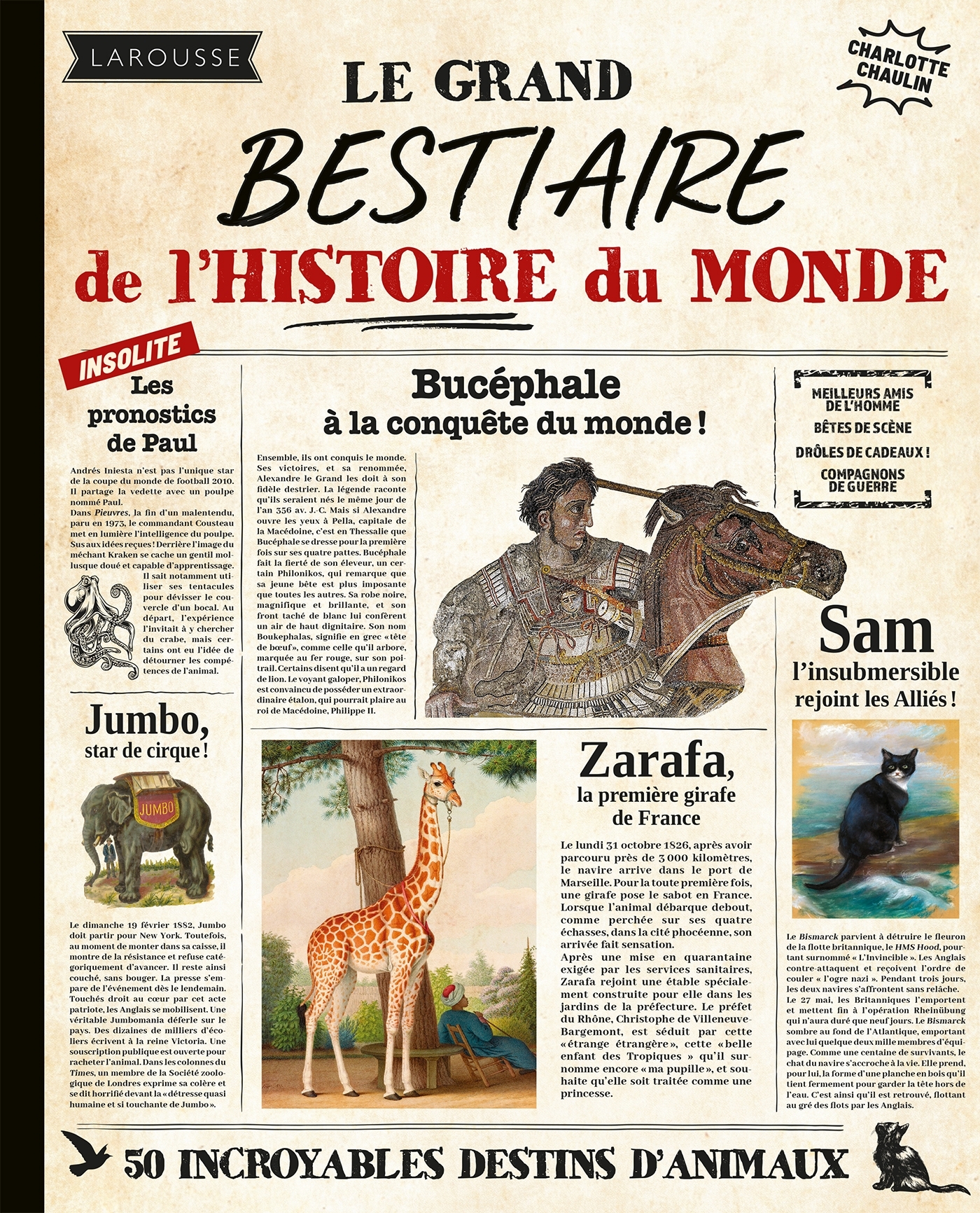 Le grand Bestiaire de l'Histoire du Monde -  Collectif - LAROUSSE