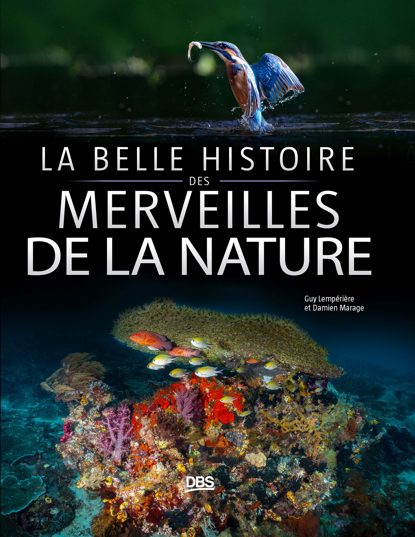 La belle histoire des merveilles de la nature -  Éditions Adapt - Snes - DE BOECK SUP