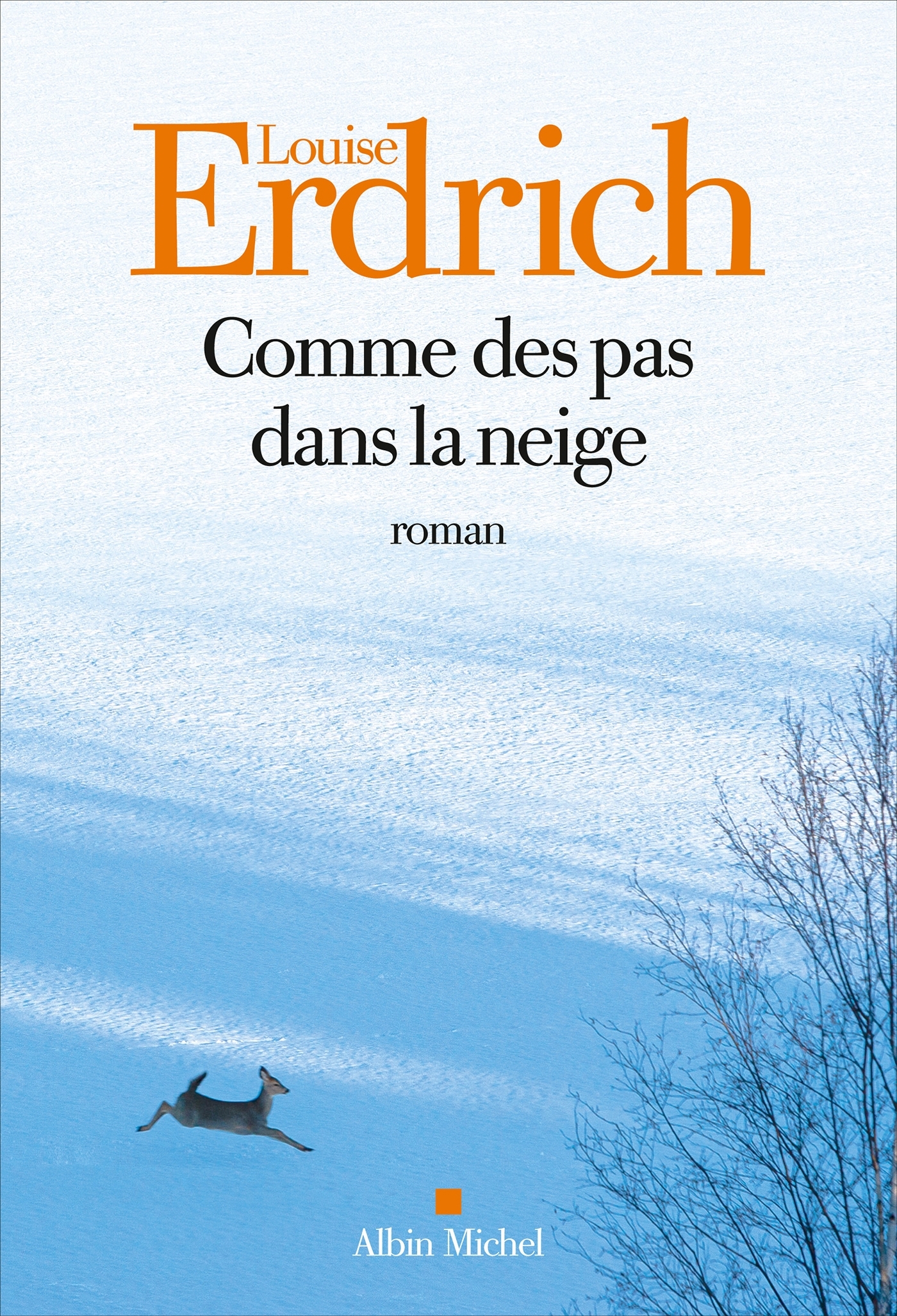 Comme des pas dans la neige - Louise Erdrich - ALBIN MICHEL