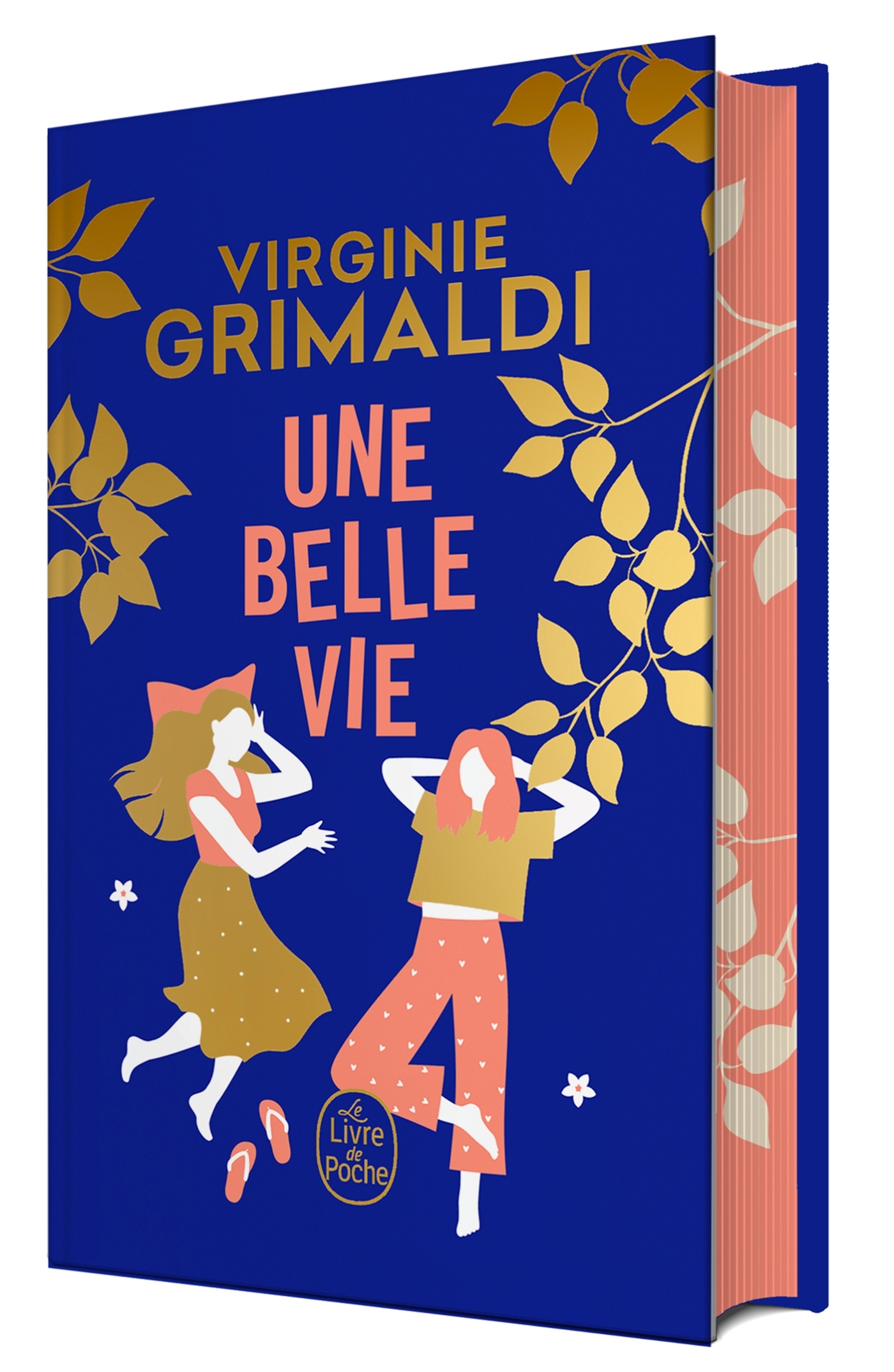 Une belle vie - Edition collector - Virginie Grimaldi - LGF