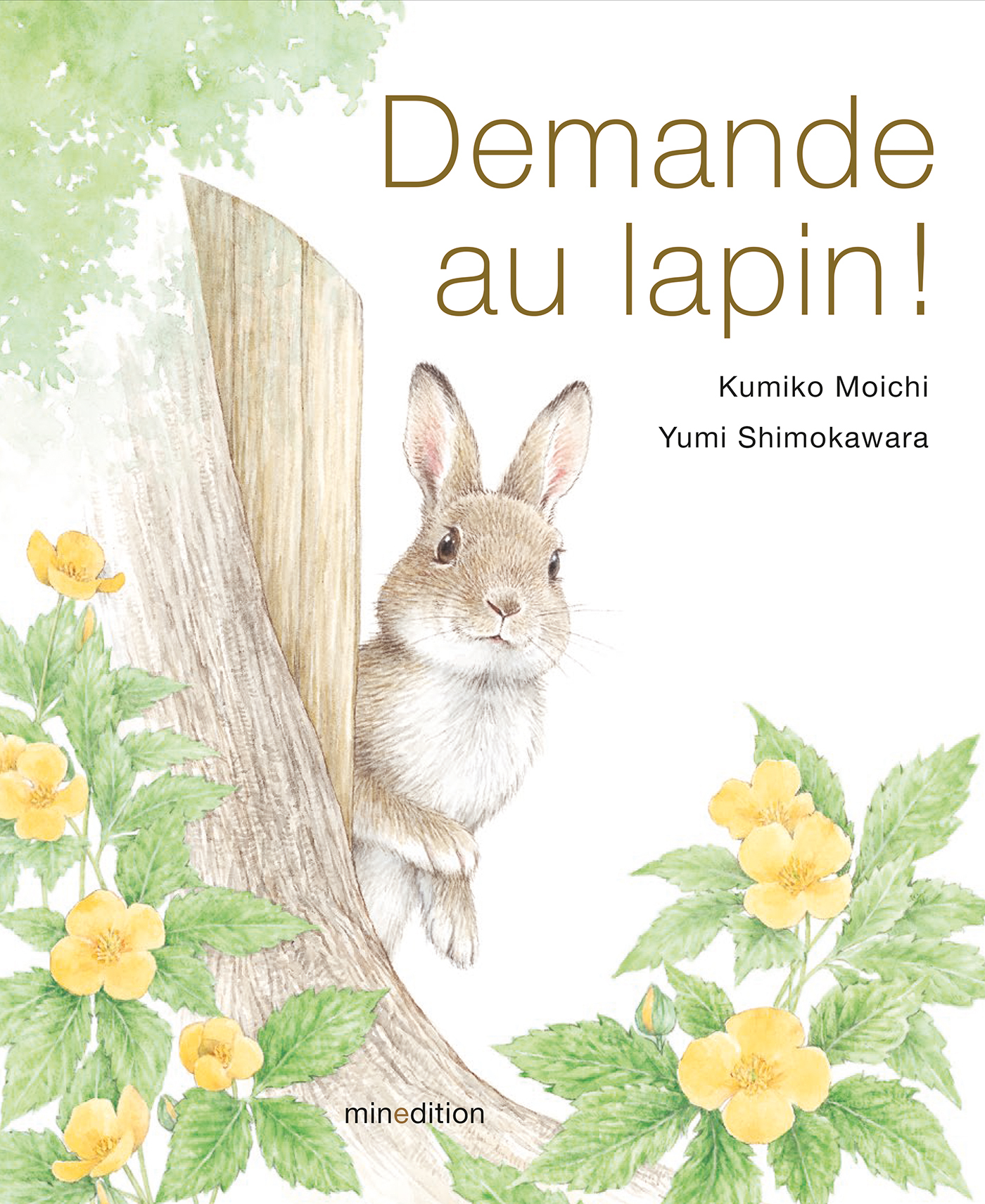 Demande au lapin ! -  Shimokawara yumi - MINEDITION