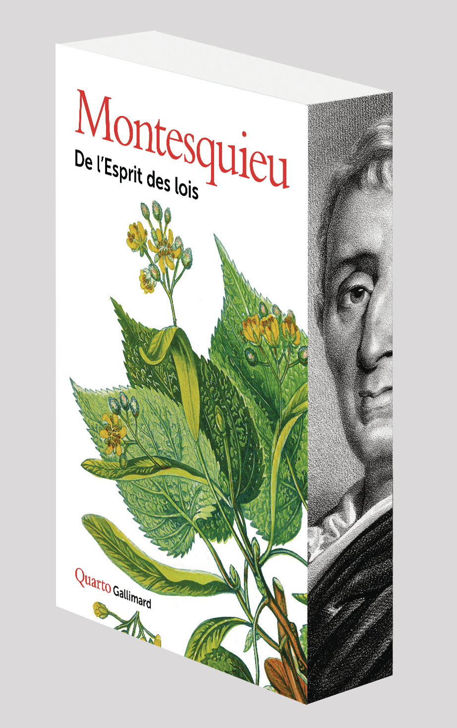 De l'Esprit des lois -  Montesquieu - GALLIMARD