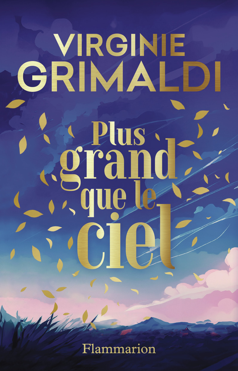 Plus grand que le ciel - Virginie Grimaldi - FLAMMARION