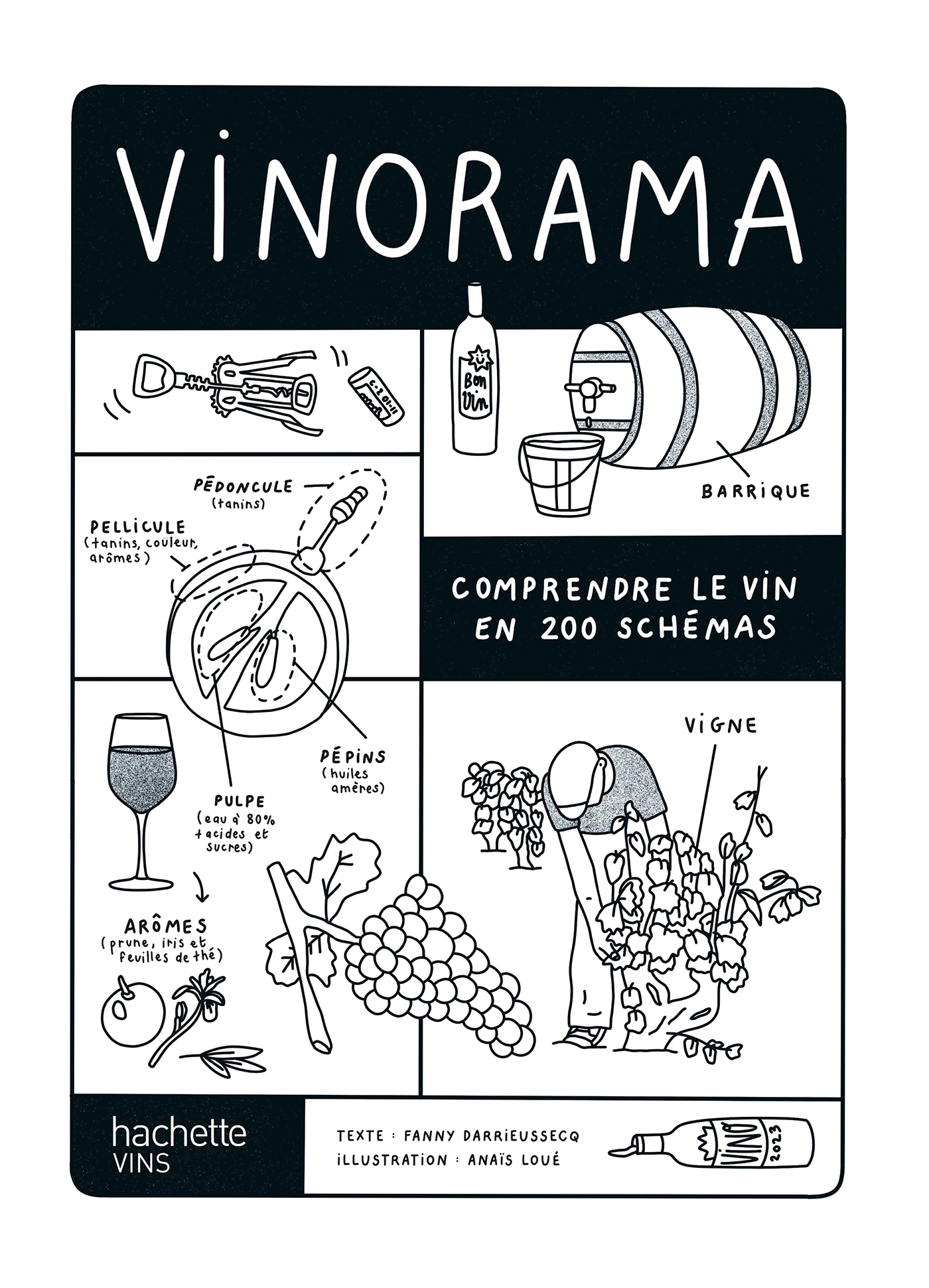 Vinorama - Fanny DARRIEUSSECQ - HACHETTE PRAT