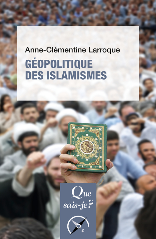 Géopolitique des islamismes - Anne-Clémentine Larroque - QUE SAIS JE