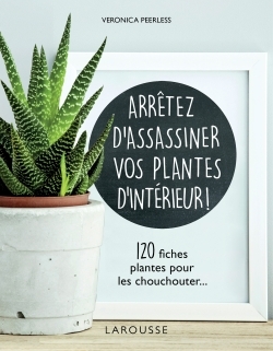 Arrêtez d'assassiner vos plantes d'intérieur -   - LAROUSSE