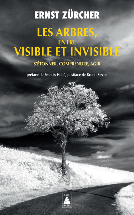 Les Arbres, entre visible et invisible - Ernst Zürcher - ACTES SUD