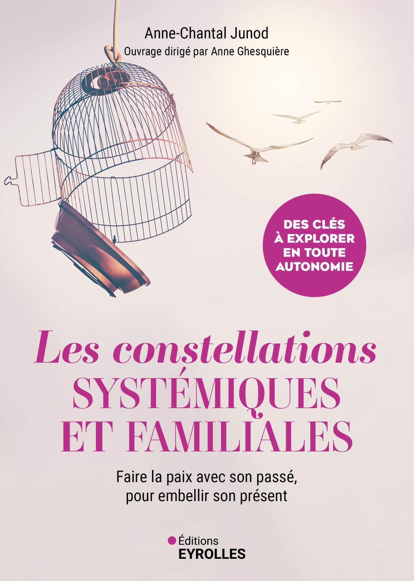 Les constellations systémiques et familiales - Anne-Chantal Junod - EYROLLES