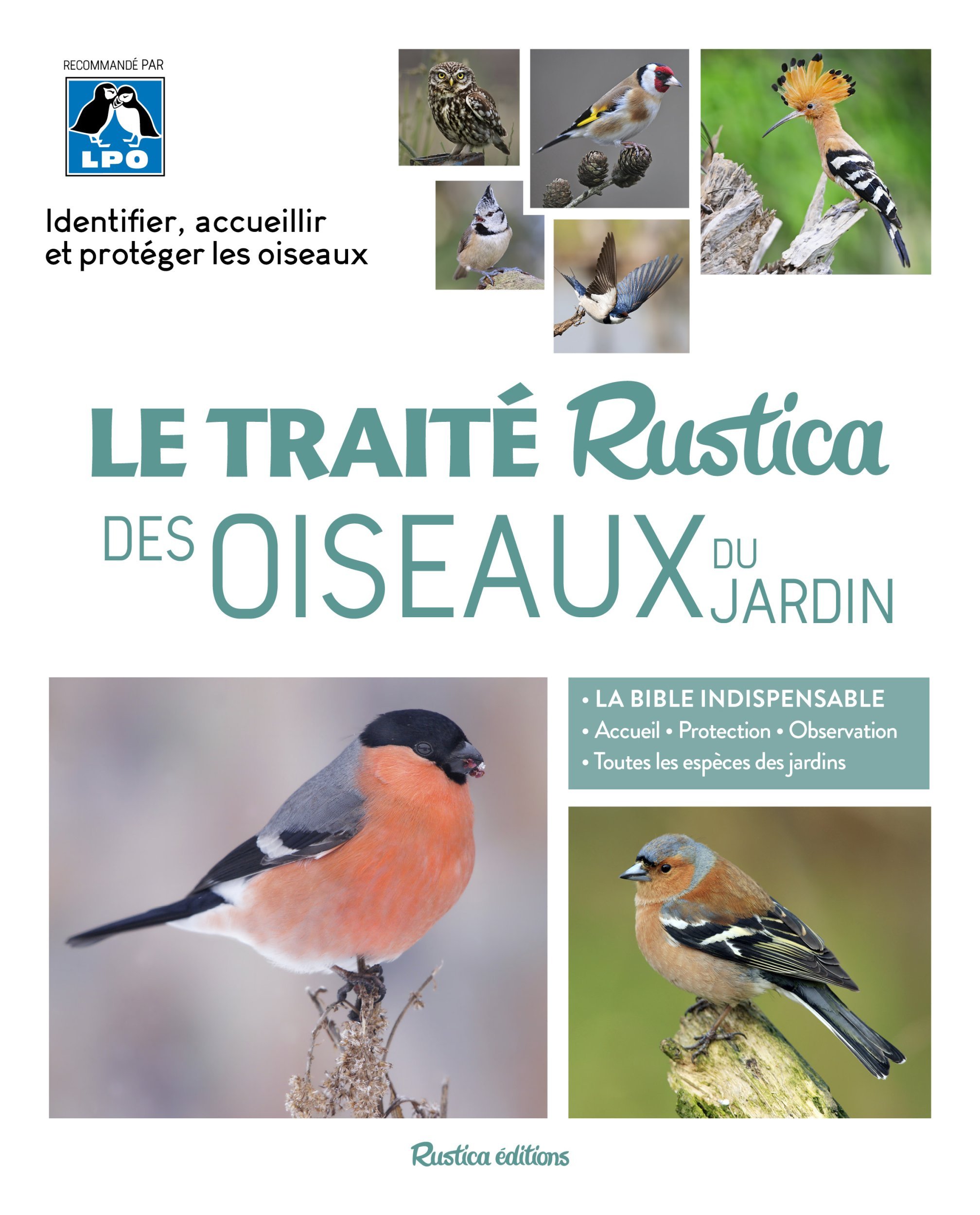 Le traité Rustica des oiseaux du jardin - Guilhem Lesaffre - RUSTICA