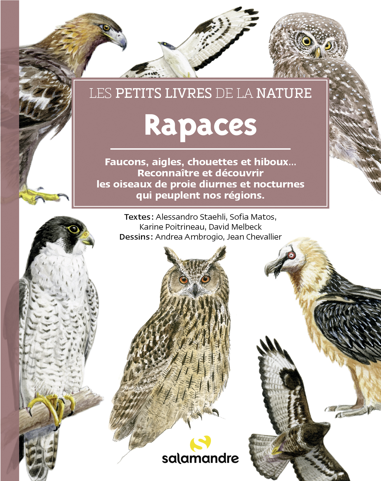 Les petits livres de la nature - Rapaces - David MELBECK - LA SALAMANDRE