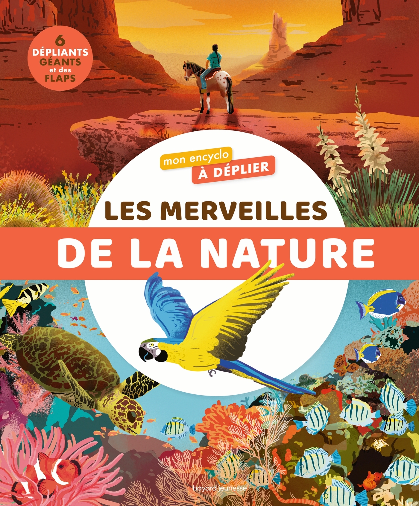 Mon encyclo à déplier Les merveilles de la nature - Bertrand Fichou - BAYARD JEUNESSE