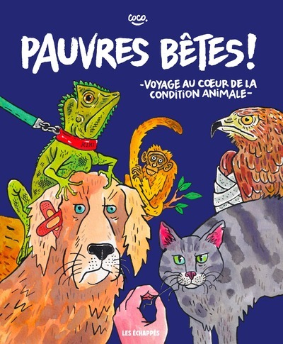 Pauvres bêtes ! - Voyage au coeur de la condition animale - . Coco - ECHAPPES