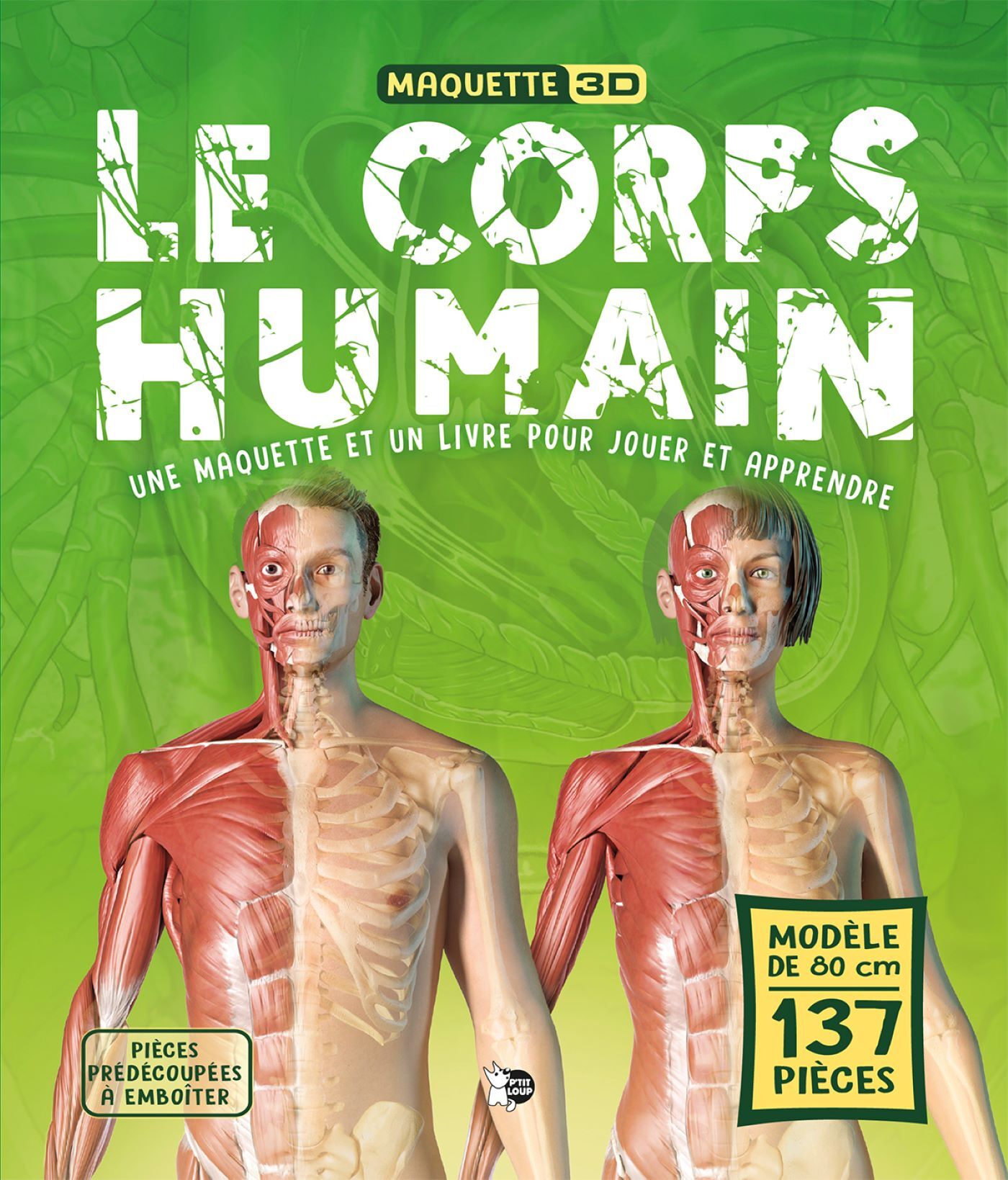 Le Corps Humain -  Collectif - PTIT LOUP