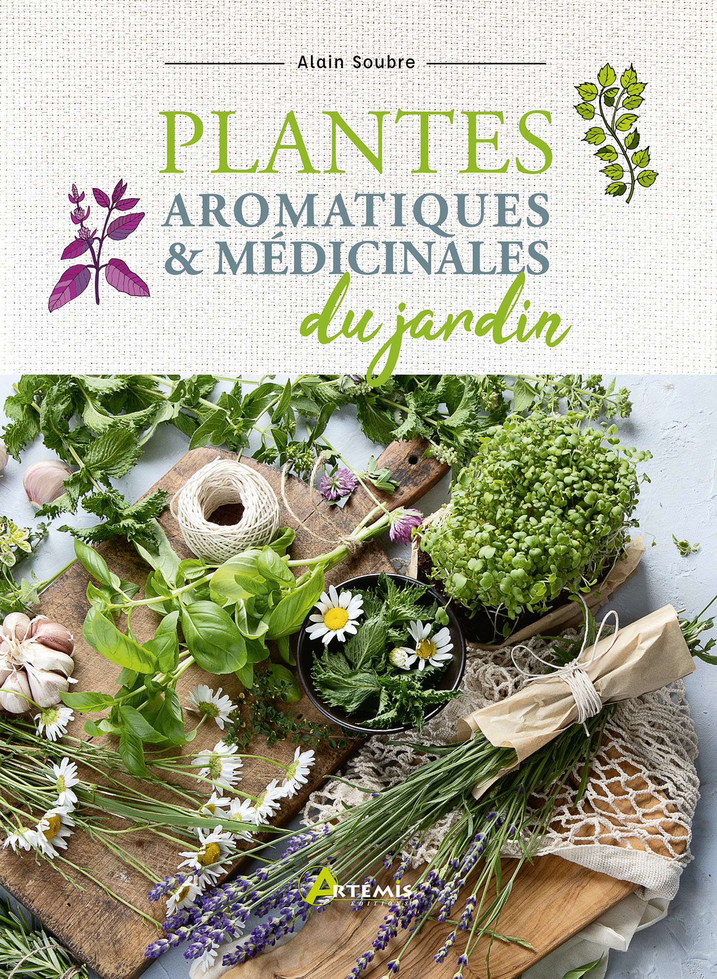 Plantes aromatiques et médicinales du jardin - Alain Soubre - ARTEMIS