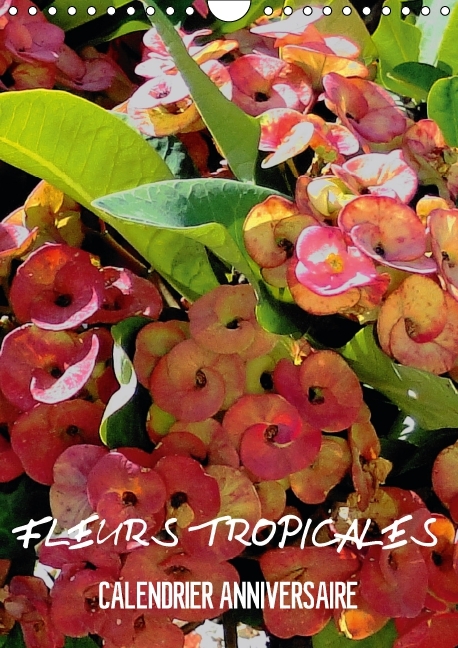 Fleurs tropicales / calendrier anniversaire (Calendrier mural Calendrier perpétuel DIN A4 vertical) - Rudolf Blank - CALVENDO