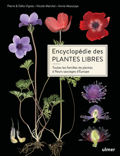 Encyclopédie des plantes libres - Toutes les familles de plantes à fleurs sauvages d'Europe - Pierre Vignes - ULMER