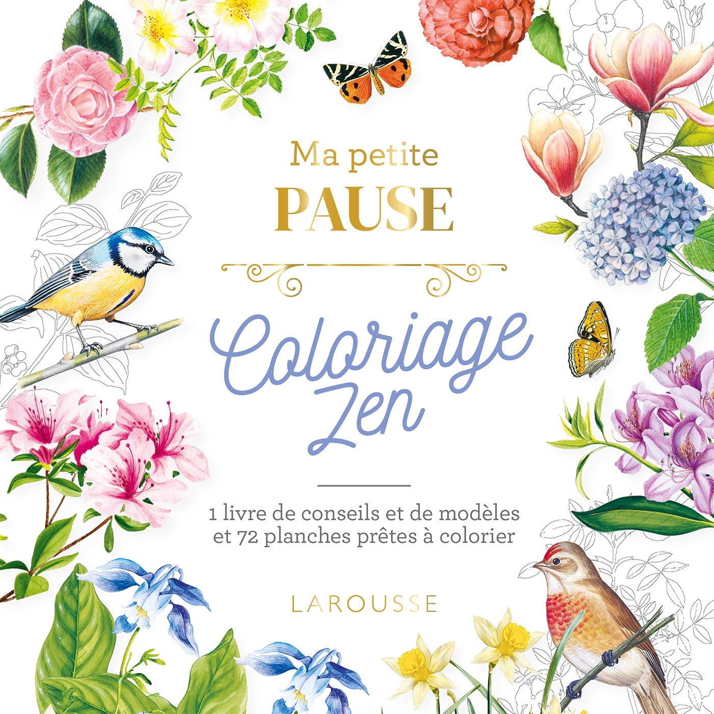 Ma petite pause coloriage zen - XXX - LAROUSSE