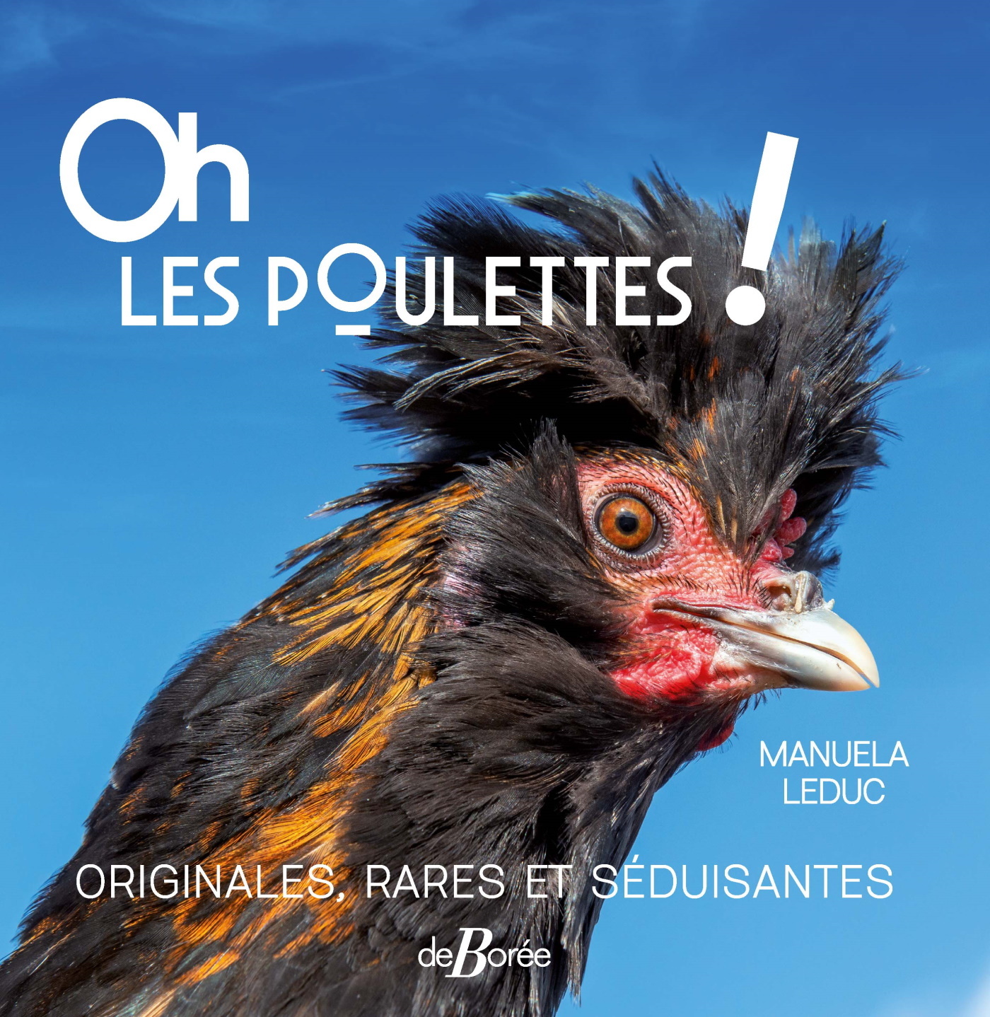 Oh les poulettes ! Originales, rares et séduisantes - Manuela Leduc - DE BOREE