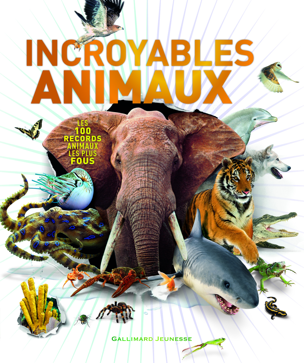 Incroyables animaux - Derek Harvey - GALLIMARD JEUNE