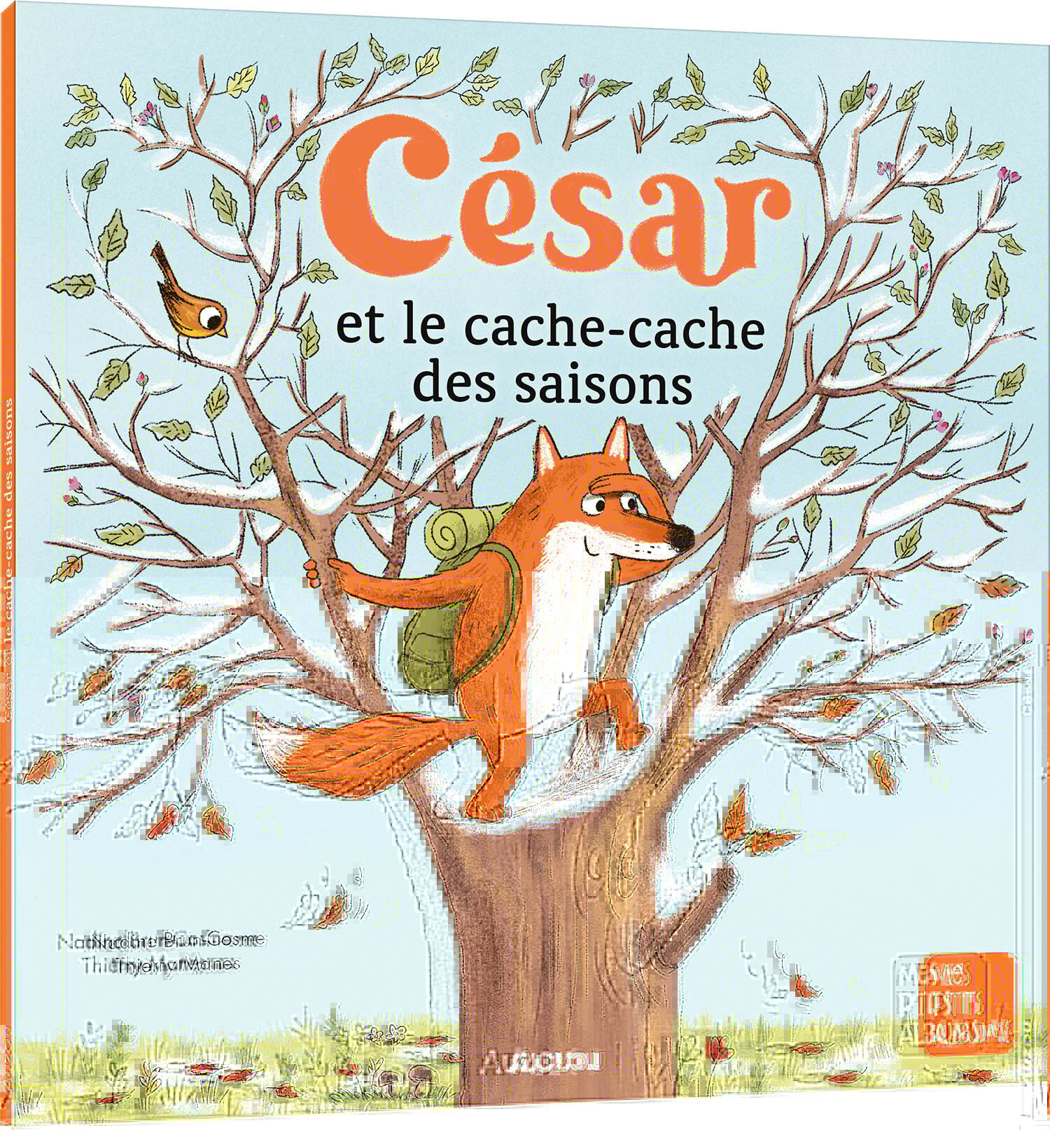 CÉSAR ET LE CACHE-CACHE DES SAISONS - Nadine Brun-Cosme - AUZOU