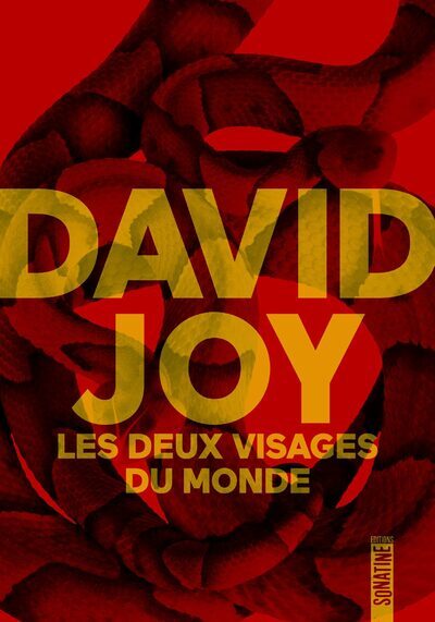 Les Deux Visages du monde - David Joy - SONATINE