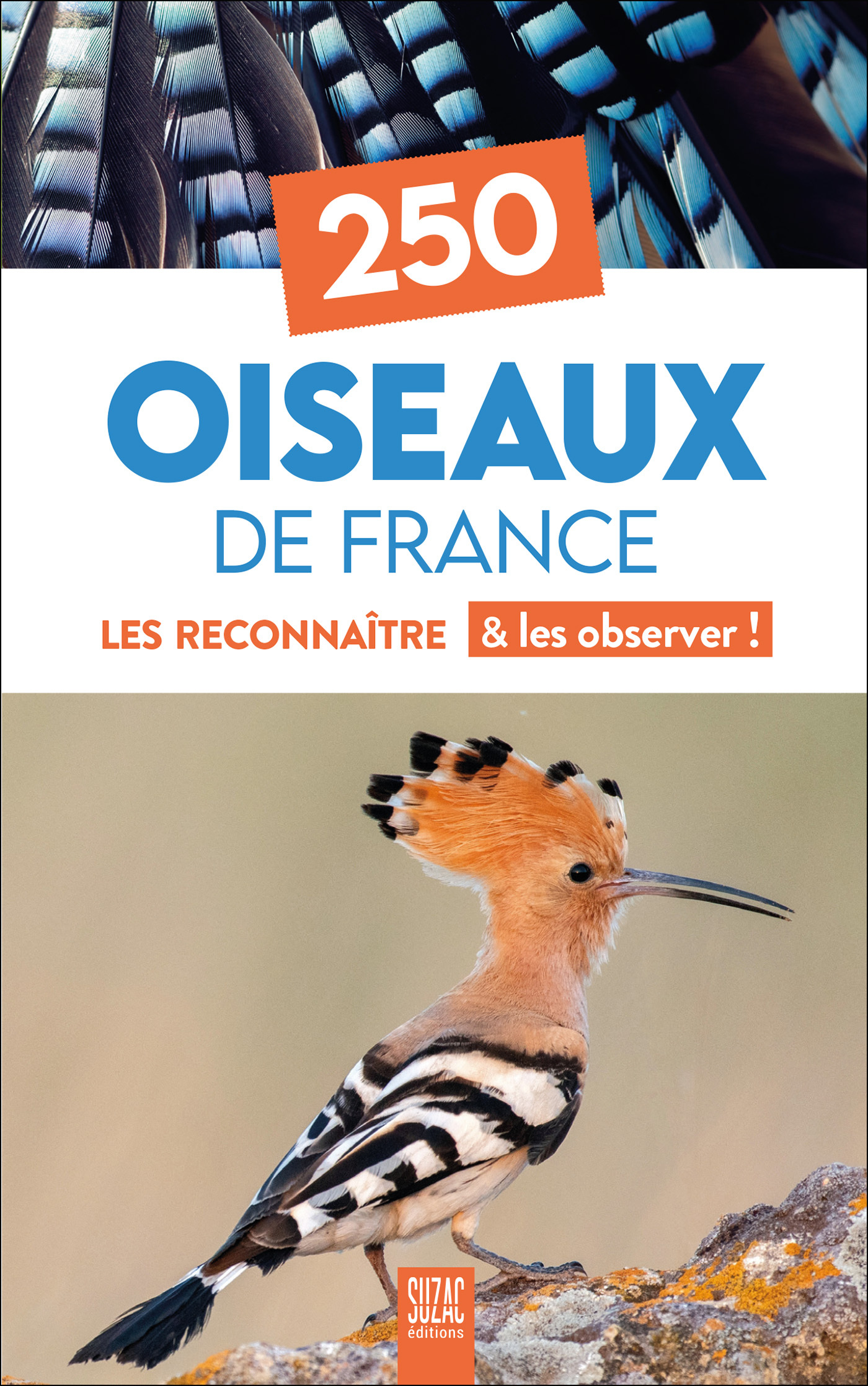 250 Oiseaux de France -  Collectif - SUZAC