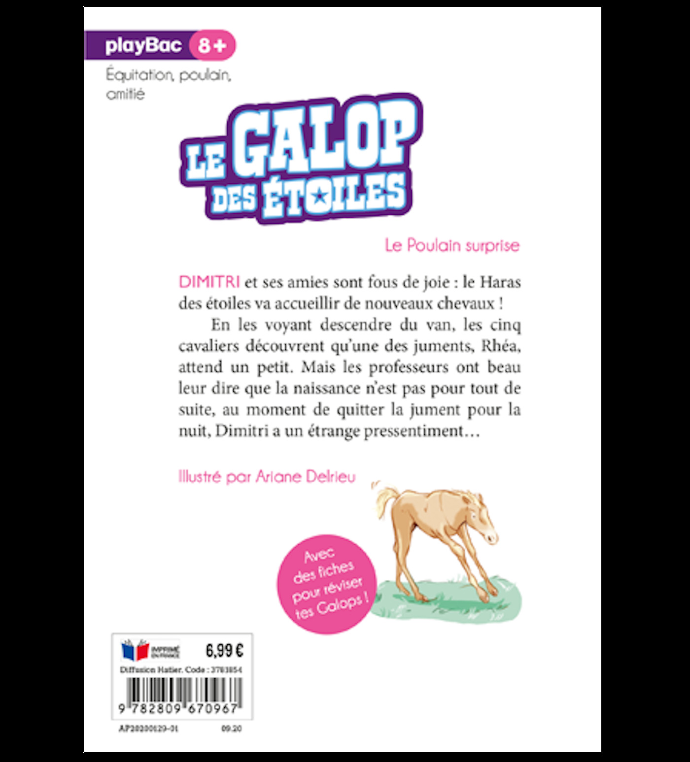 Le Galop des Etoiles - Le poulain surprise - Tome 5 - N. M. Zimmermann - PLAY BAC