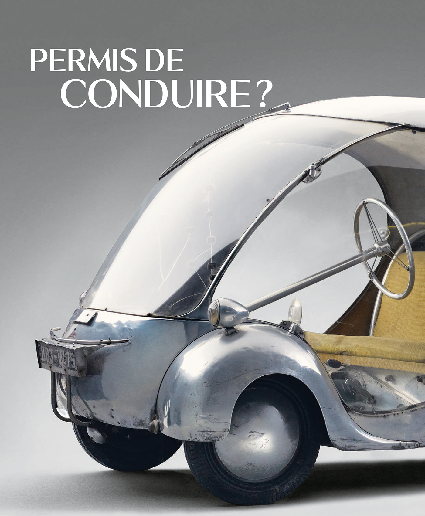 Permis de conduire ? -  Collectif - LIENART