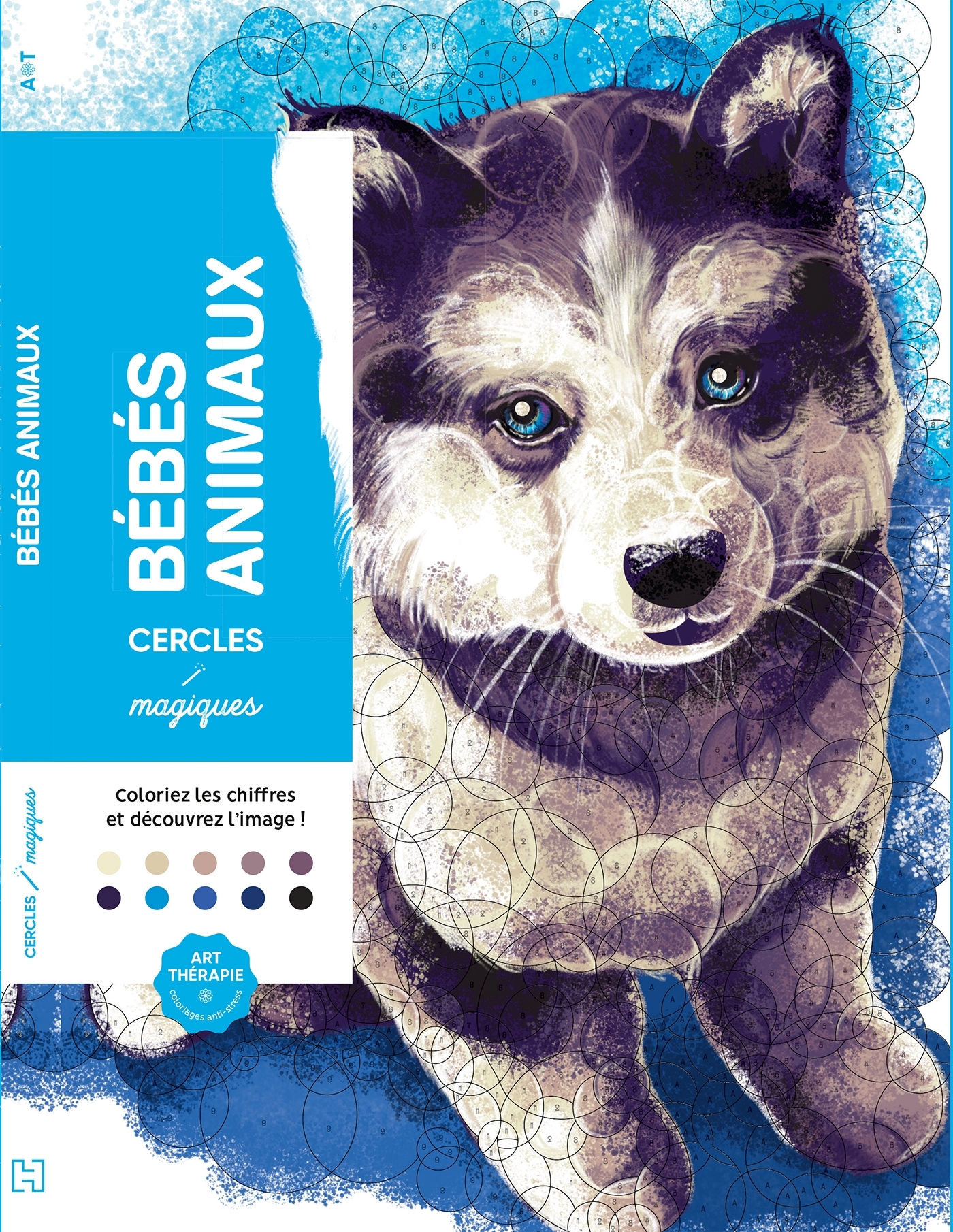 Cercles magiques Bébés Animaux - Christophe Alexis Perez - HACHETTE HEROES