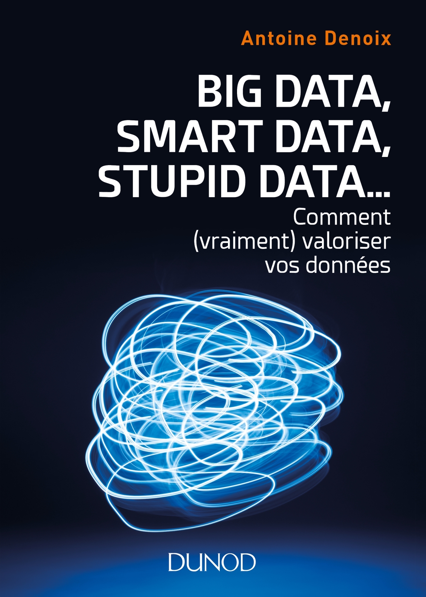 Big Data, Smart Data, Stupid Data... comment (vraiment) valoriser vos données - Antoine Denoix - DUNOD