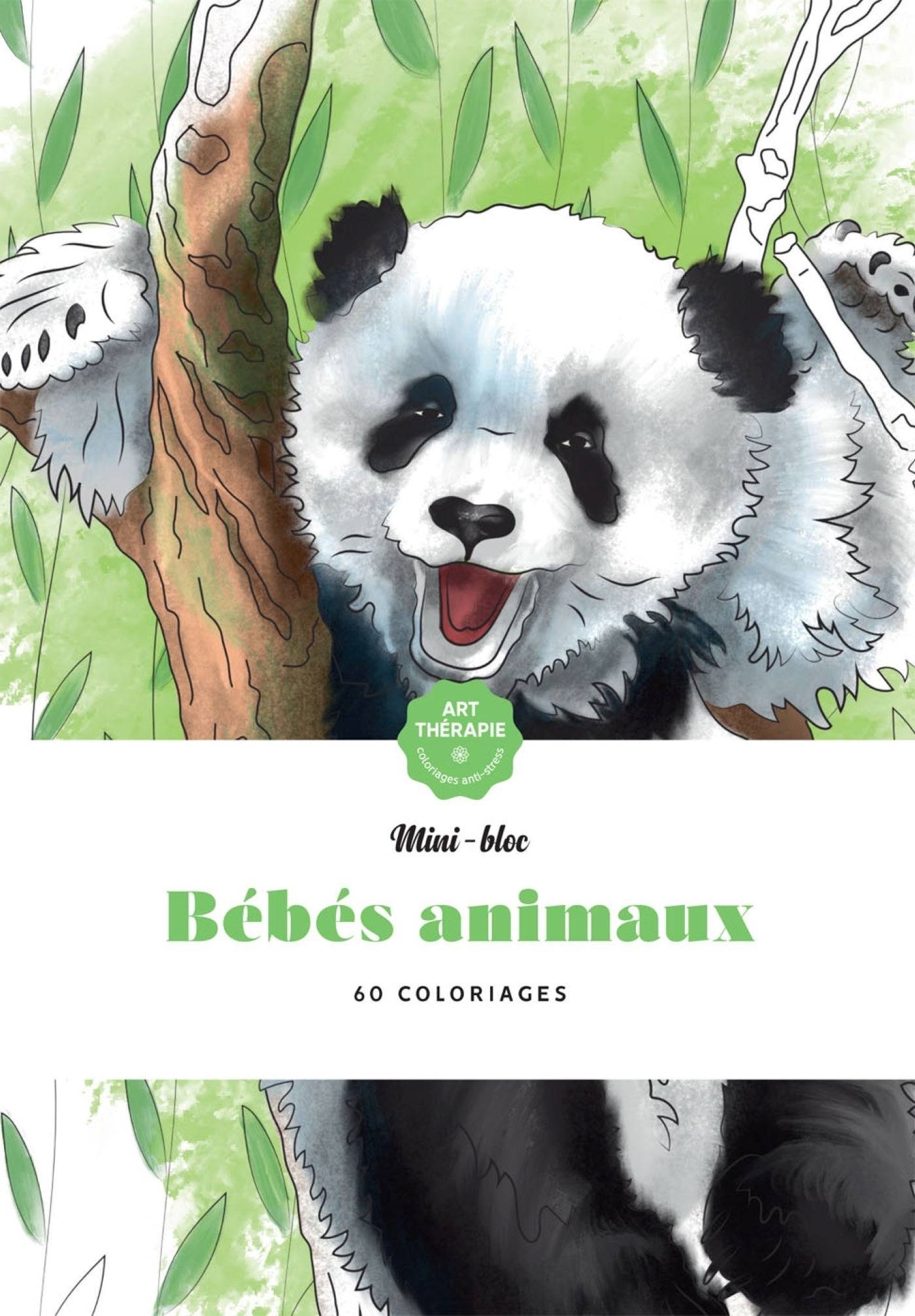 Bébés animaux - Béatrice Loth - HACHETTE HEROES