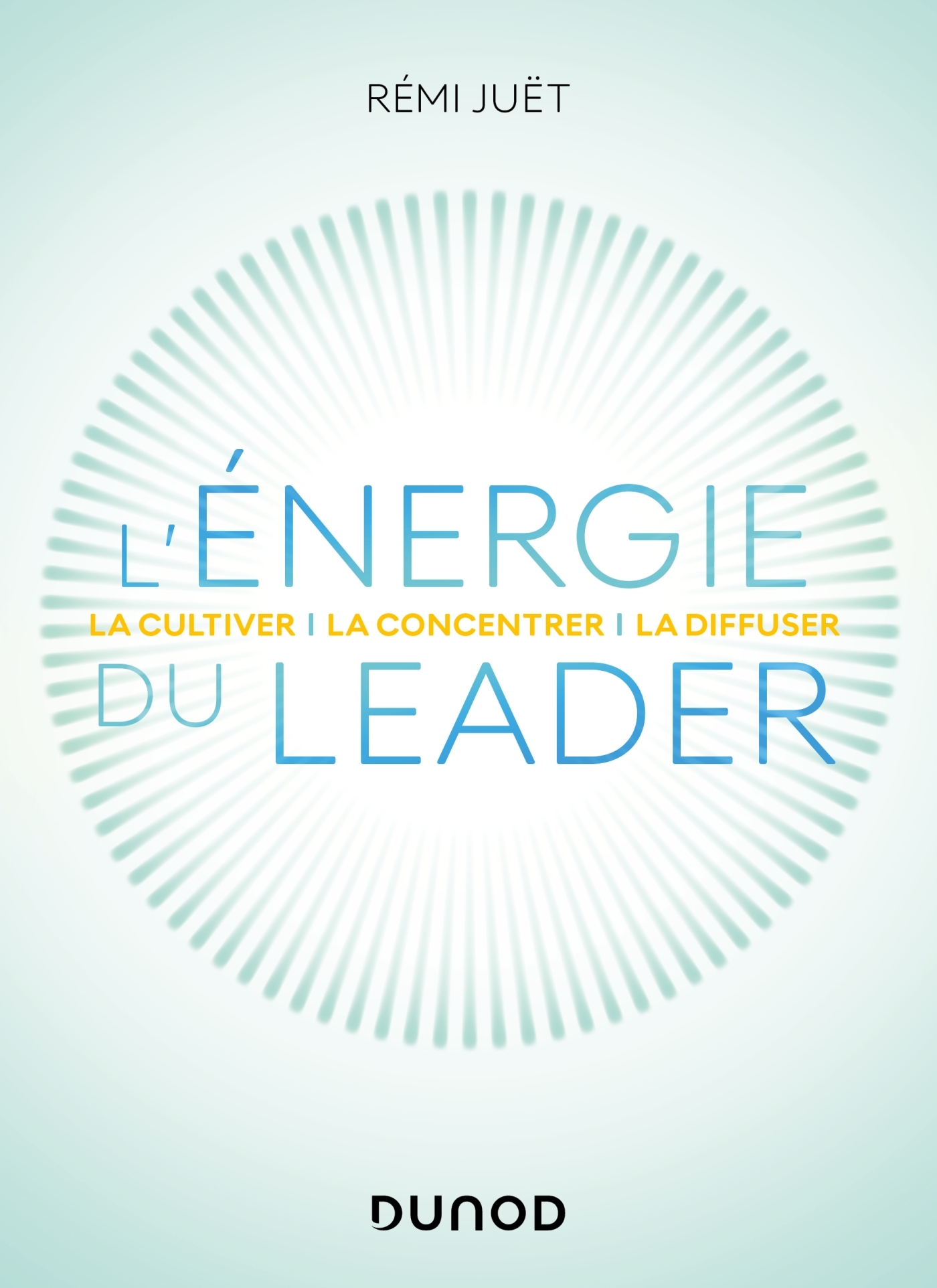 L'énergie du leader - Rémi Juët - DUNOD