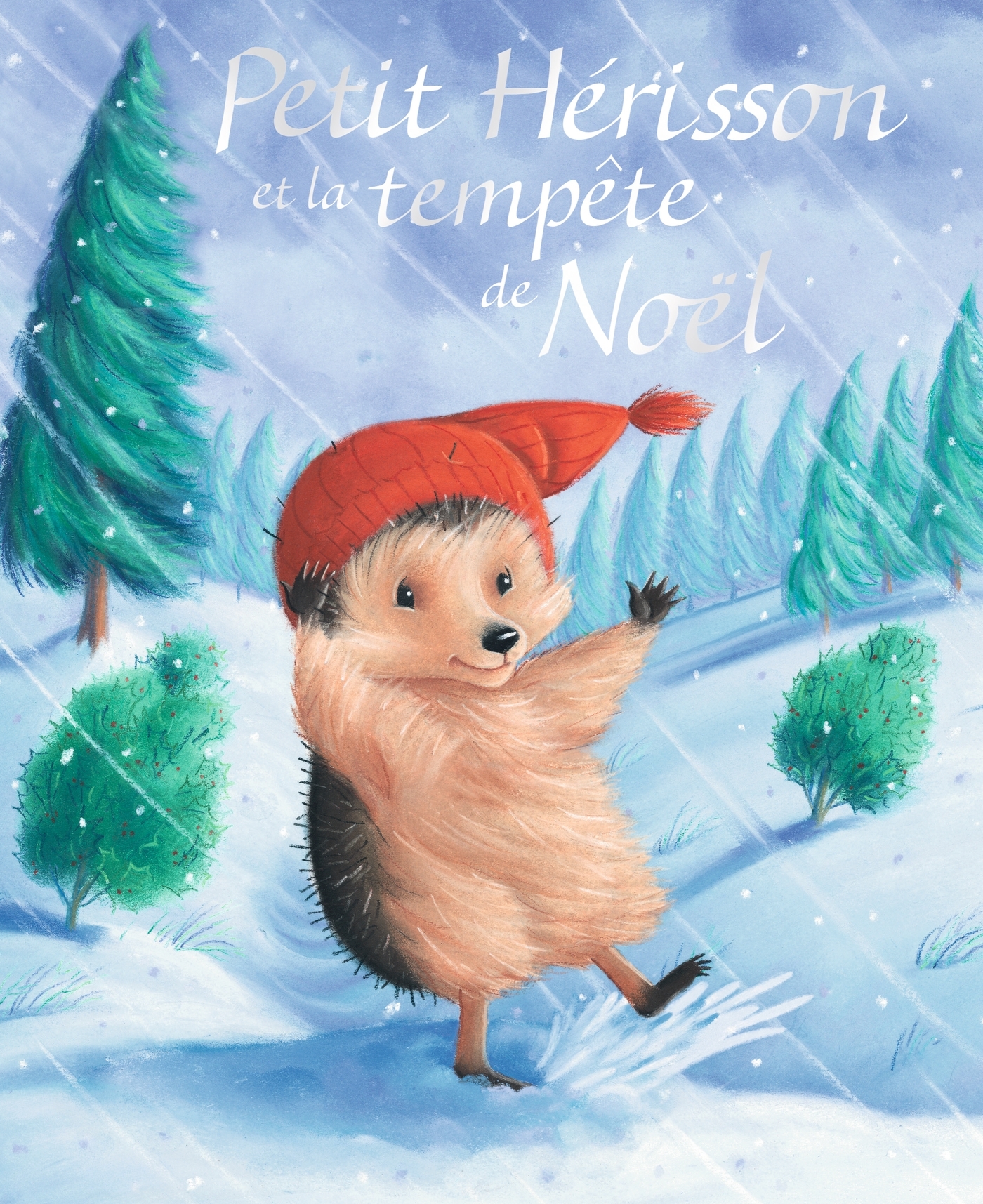 Petit Hérisson et la tempête de Noël - M. Christina Butler - MILAN