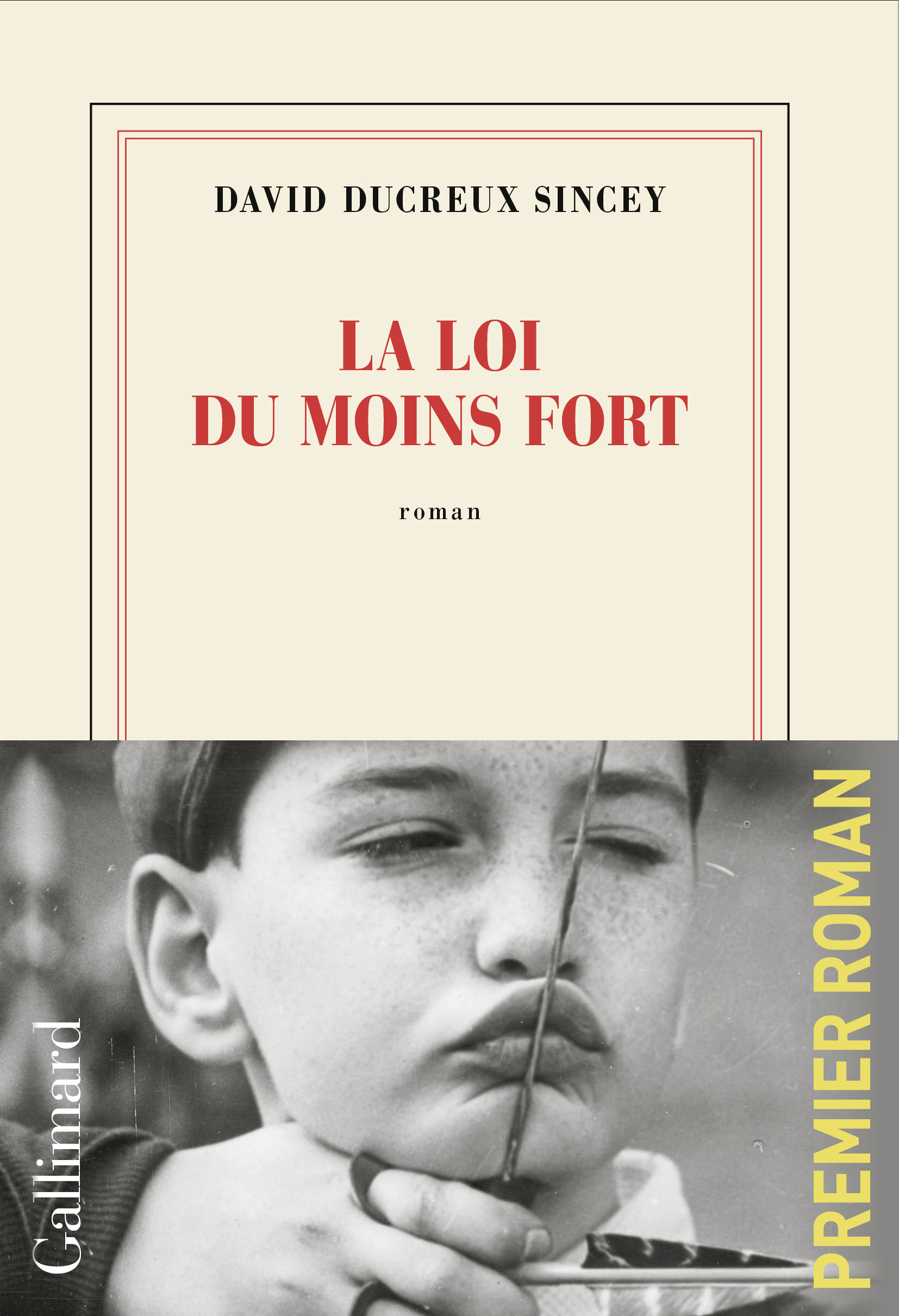 La loi du moins fort -  DAVID DUCREUX SINCEY - GALLIMARD