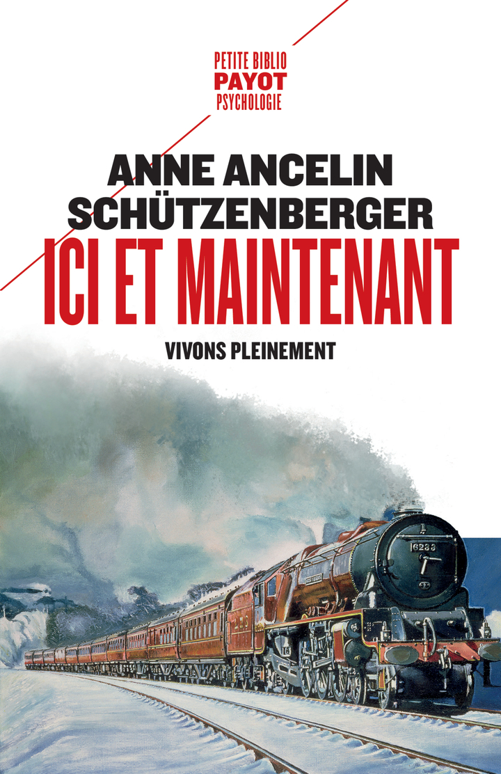 Ici et maintenant - Anne Ancelin schützenberger - PAYOT