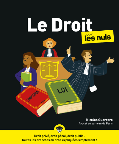 Le Droit Pour les Nuls NE - Nicolas Guerrero - POUR LES NULS