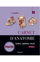 Carnet d-anatomie t3 thorax abdomen pelvis 3ed
