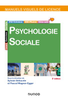 Manuel visuel de psychologie sociale