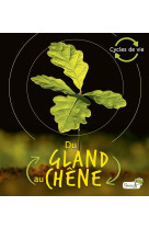 Du gland au chene