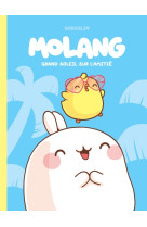 Molang t02 grand soleil sur l amitie