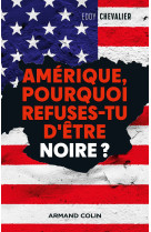 Amerique, pourquoi refuses-tu d-etre noire? - qu-ont-ils fait du reve de luther-king?