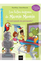 Les folles enigmes de mamie momie - t07 - les folles enigmes de mamie momie -  ou sont passes les pe