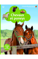 Chevaux et poneys