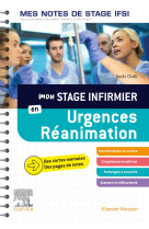 Mon stage infirmier en urgences-reanimation. mes notes de stage ifsi - je reussis mon stage !