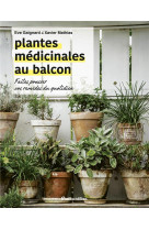 Les plantes medicinales au balcon