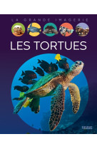 Les tortues