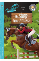 Roman au galop, une annee a cheval - tome 3